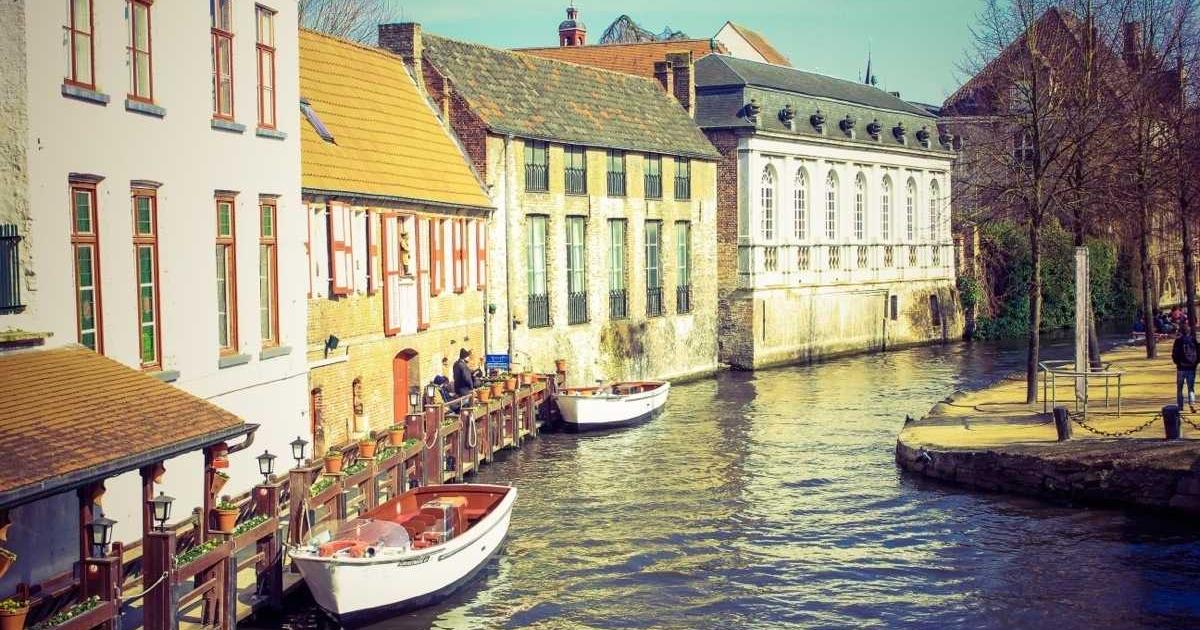 Guide Complet : Tout Savoir sur Ramassage de Feuilles - Conseils et services Ramassage de feuilles sur Askaide