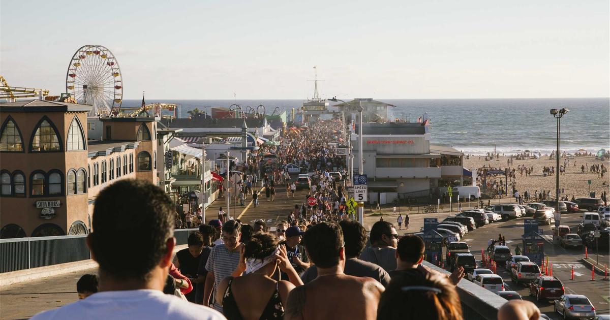 Comment Trouver un Bon Prestataire pour Ramassage de Feuilles en Belgique - Conseils et services Ramassage de feuilles sur Askaide