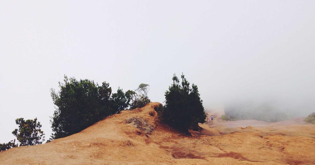 De Tendances 2026 in het Gebied van Haagteren: Wat Gebeurt Het? - Advies en diensten Haagteren op Askaide