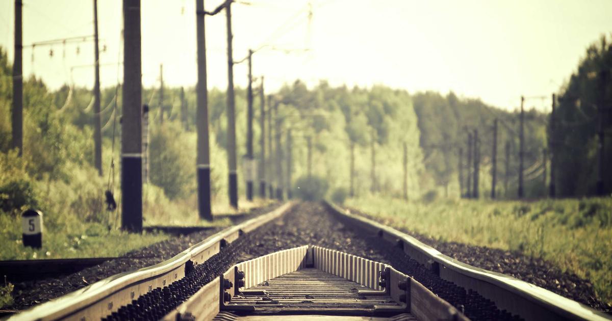 Gardening: Practical Guide for Beginners - Gardening advice and services on Askaide