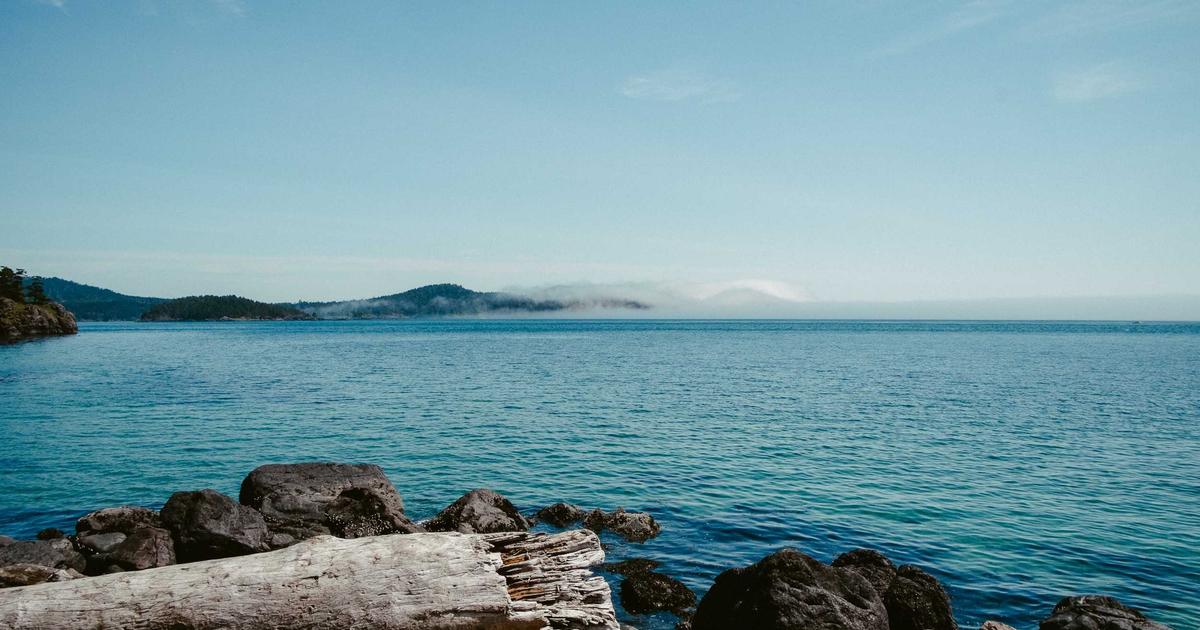 Comment Bien Préparer Votre Projet de Tailler une Haie - Conseils et services Tailler une haie sur Askaide