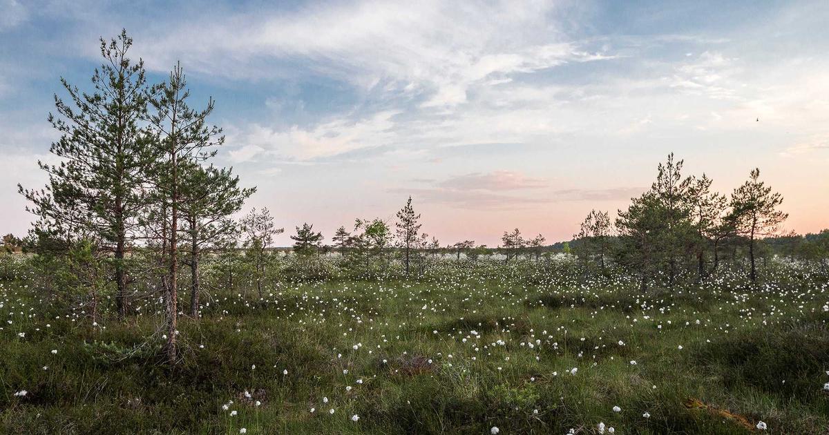 Administratieve hulp in Hasselt - diensten tussen particulieren | Askaide