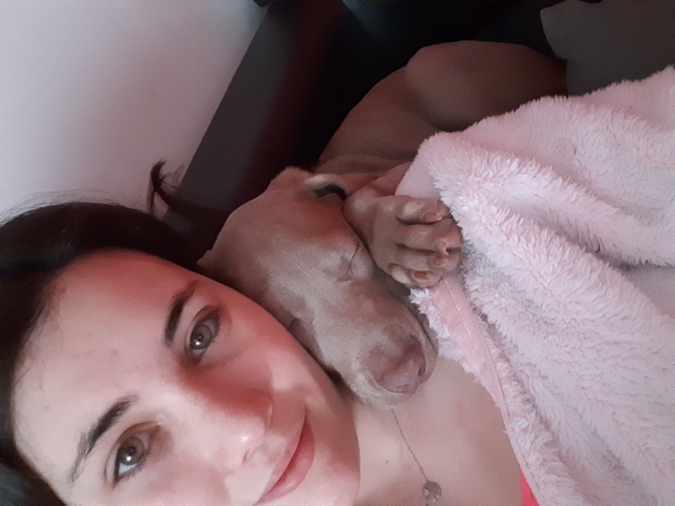 Photo de profil de l’utilisateur