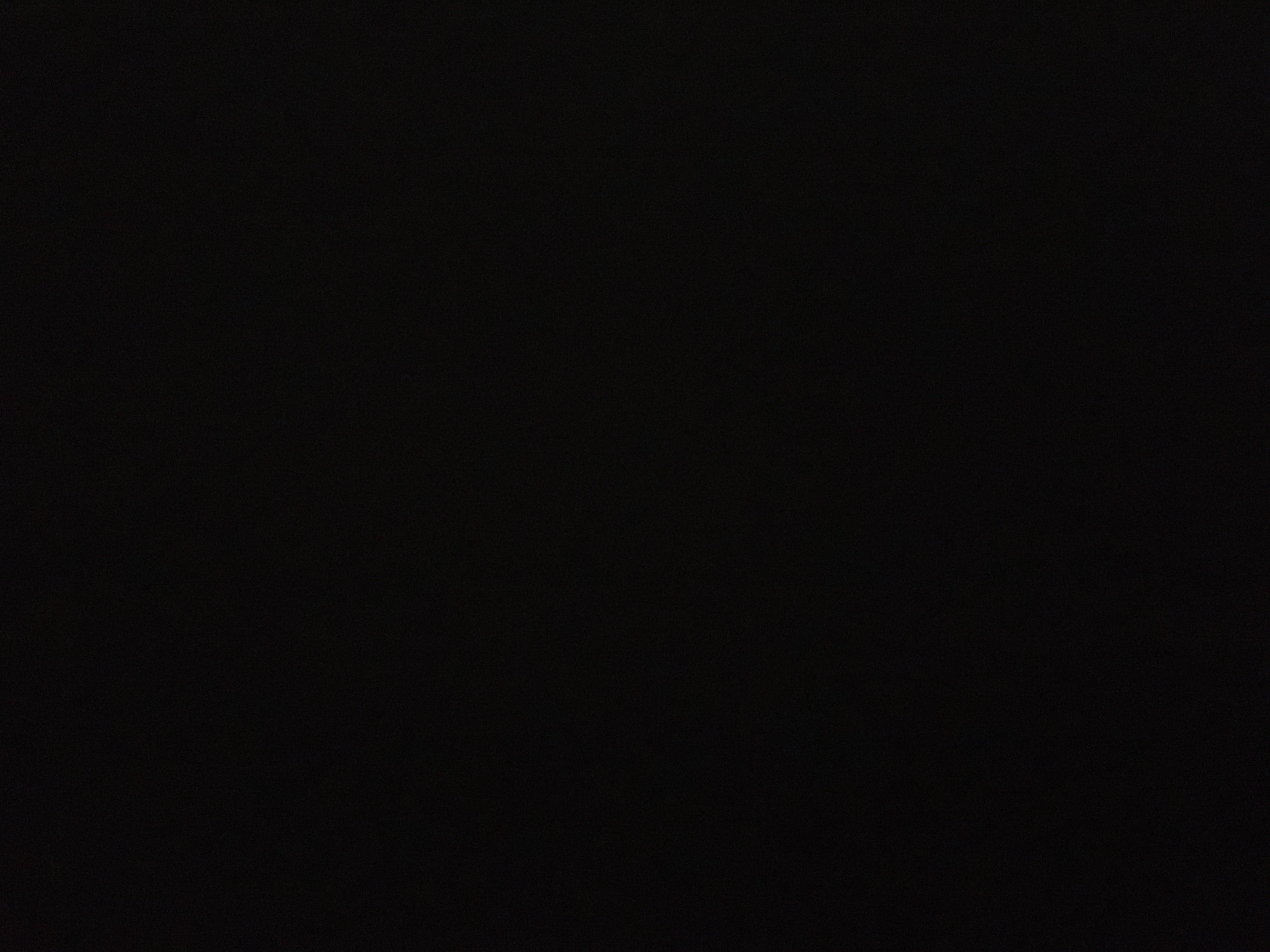 Photo de profil de l’utilisateur