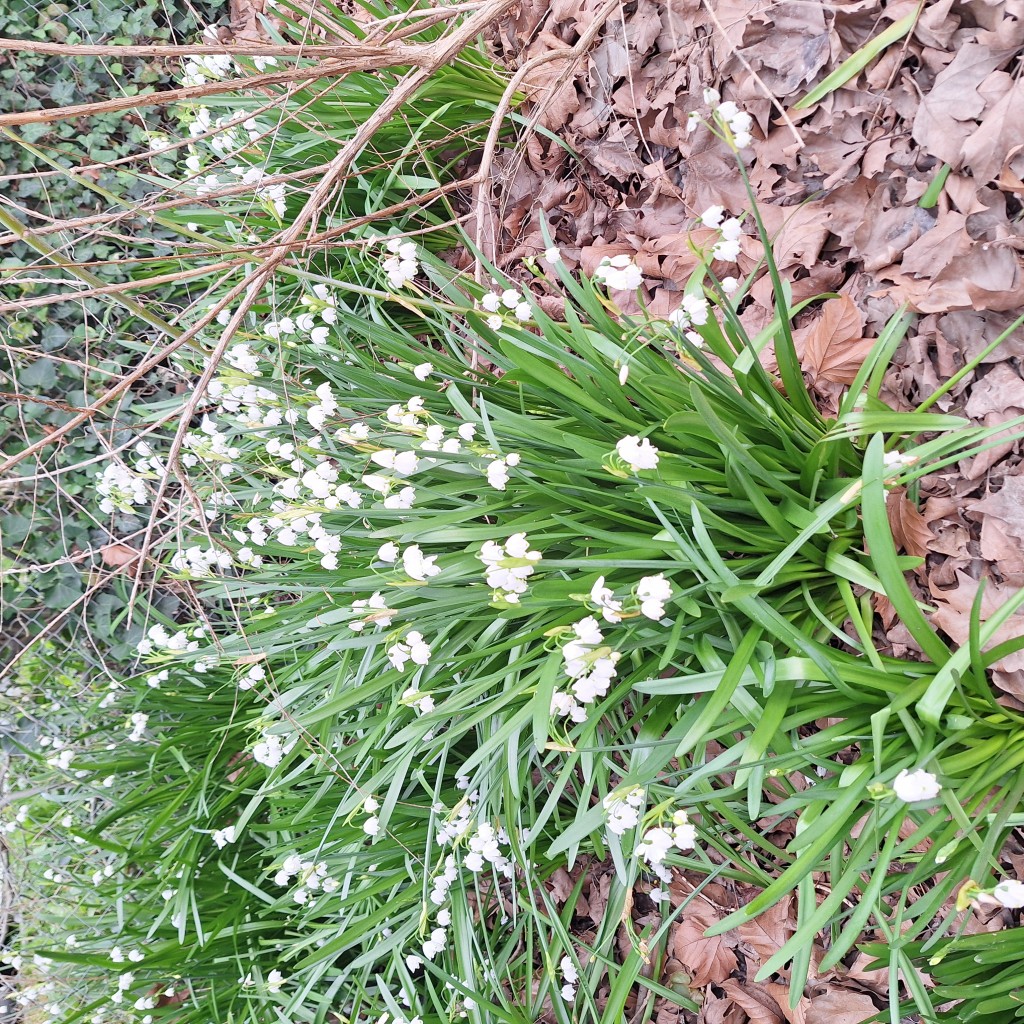 Photo de profil de l’utilisateur