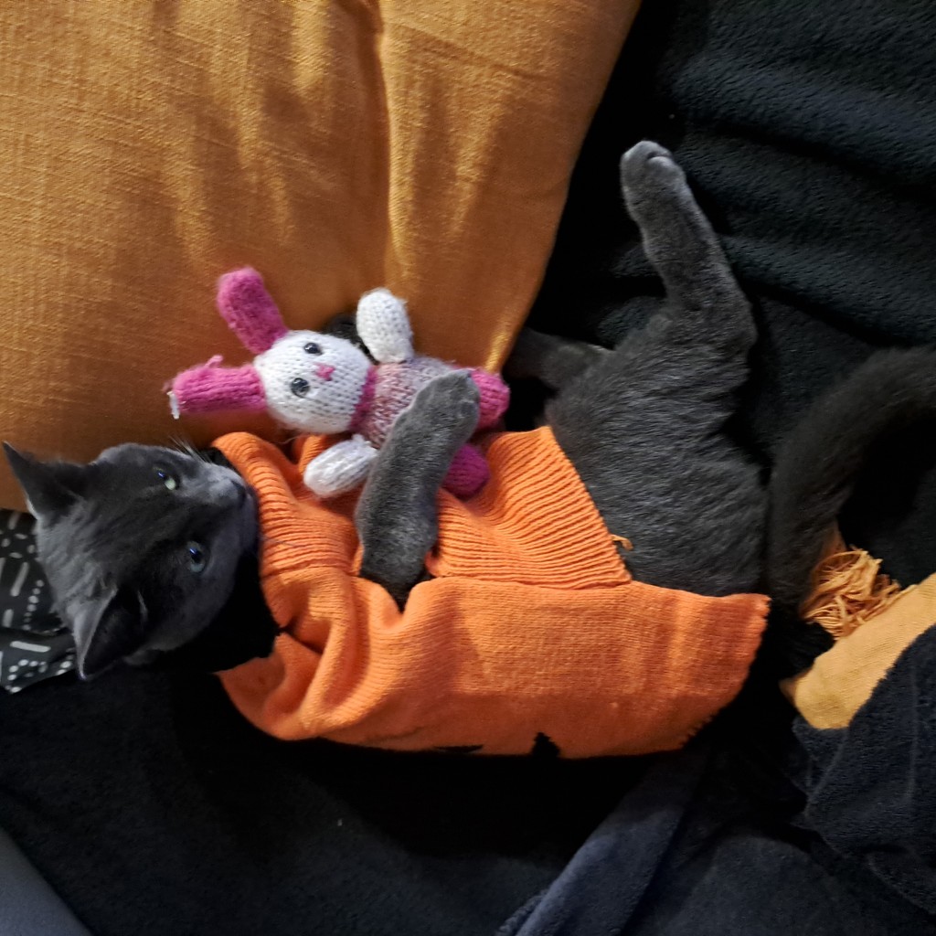 Photo de profil de l’utilisateur