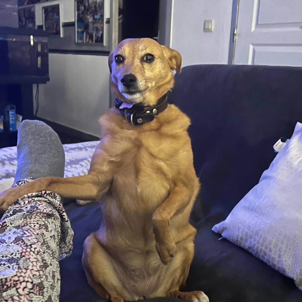 Photo de profil de l’utilisateur