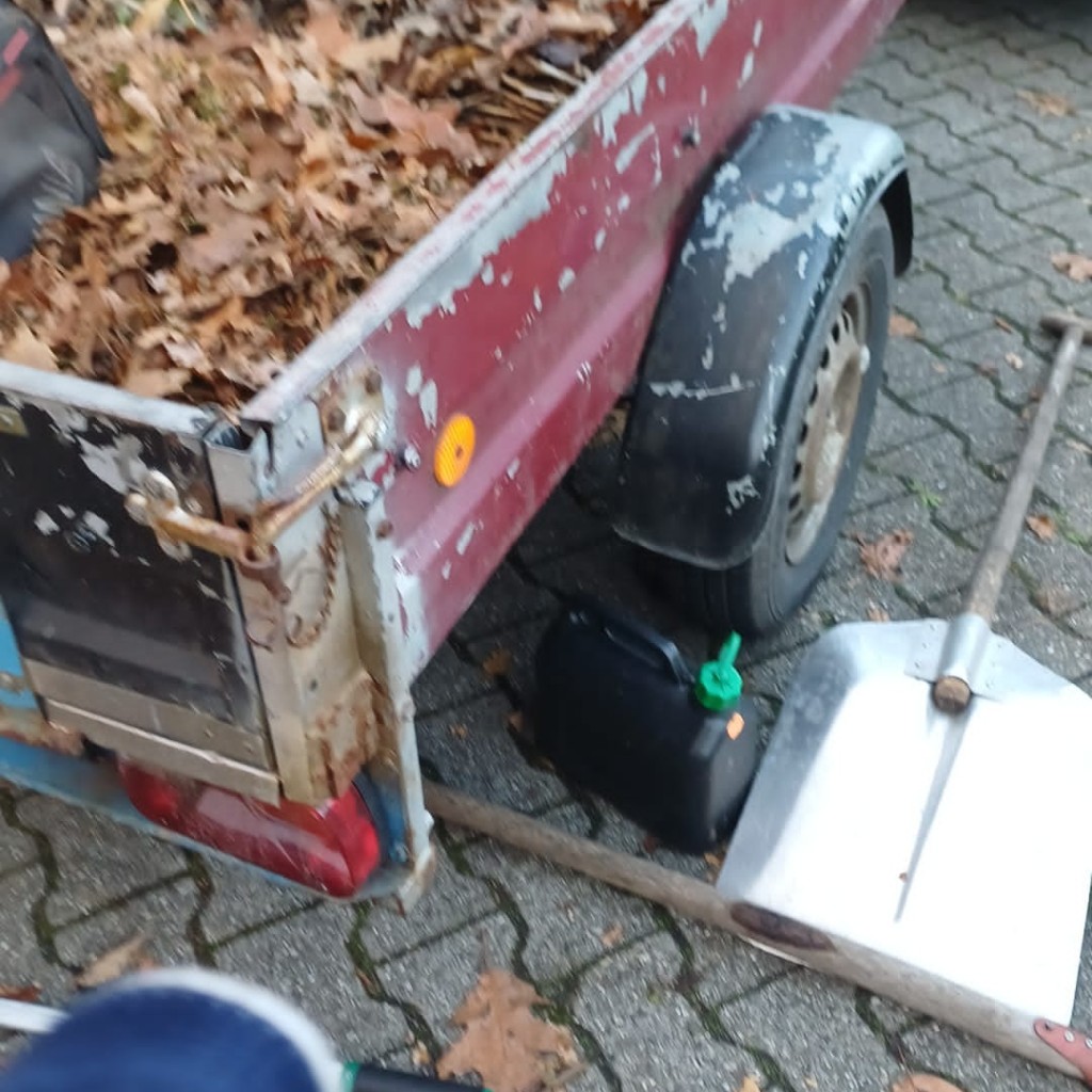 Photo de profil de l’utilisateur