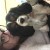 , Photo de profil de Candy