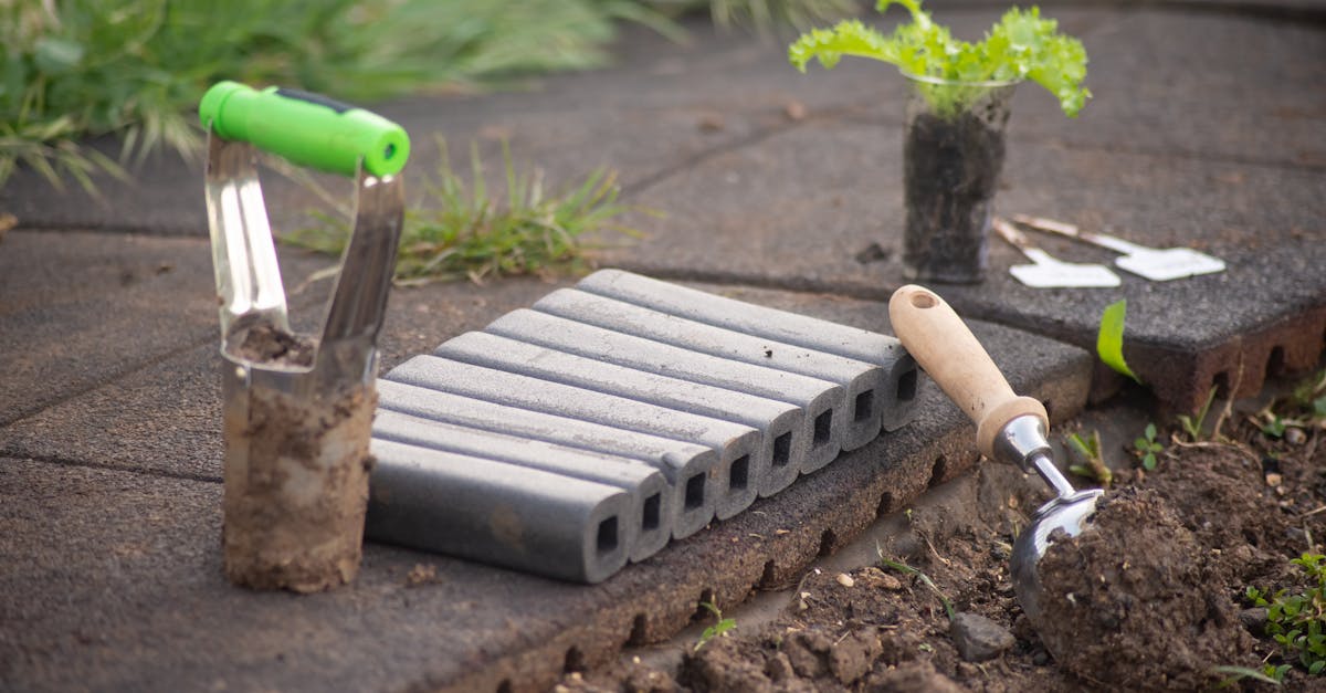 How to Prepare Your Gardening Project - Gardening Advice and Services on Askaide