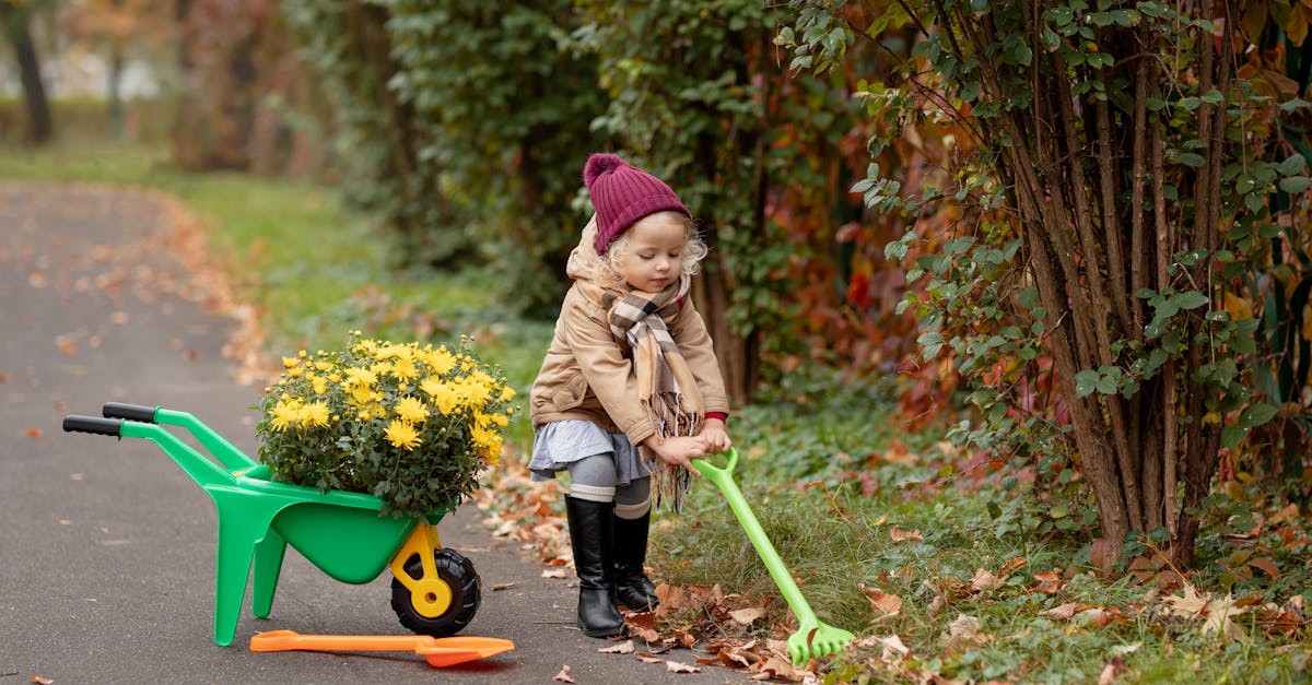Maîtrisez votre Espacede Feuilles : Planifiez le Ramassage avec Précision — Askaide