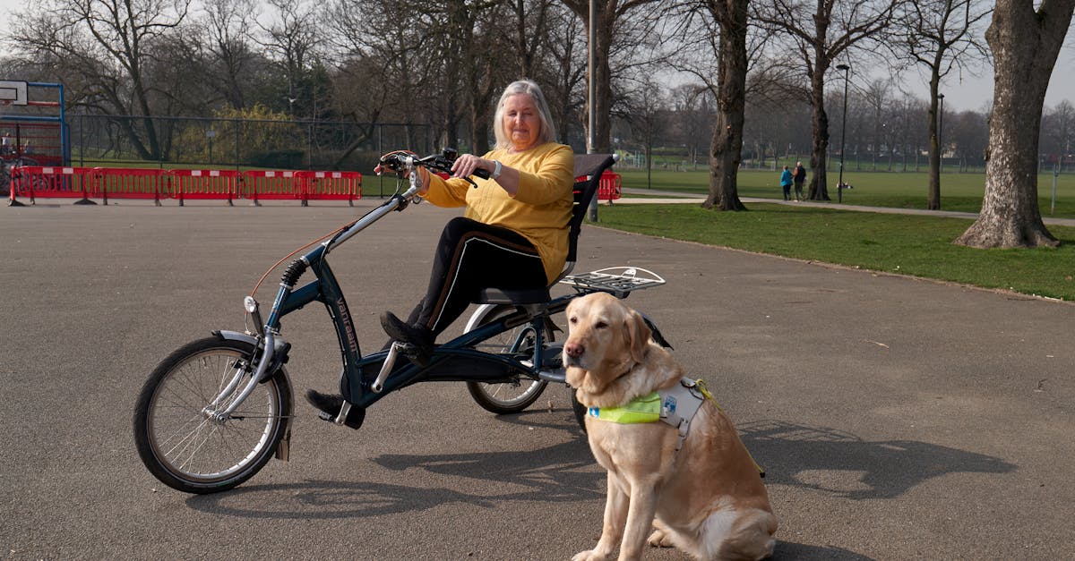 Natural food for dogs and cats in the Netherlands 2026