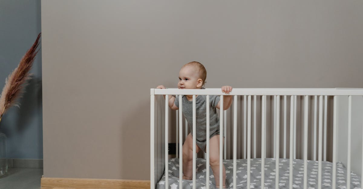 Lit bébé à barreaux blanc 60x120 avec matelas — chambre bébé