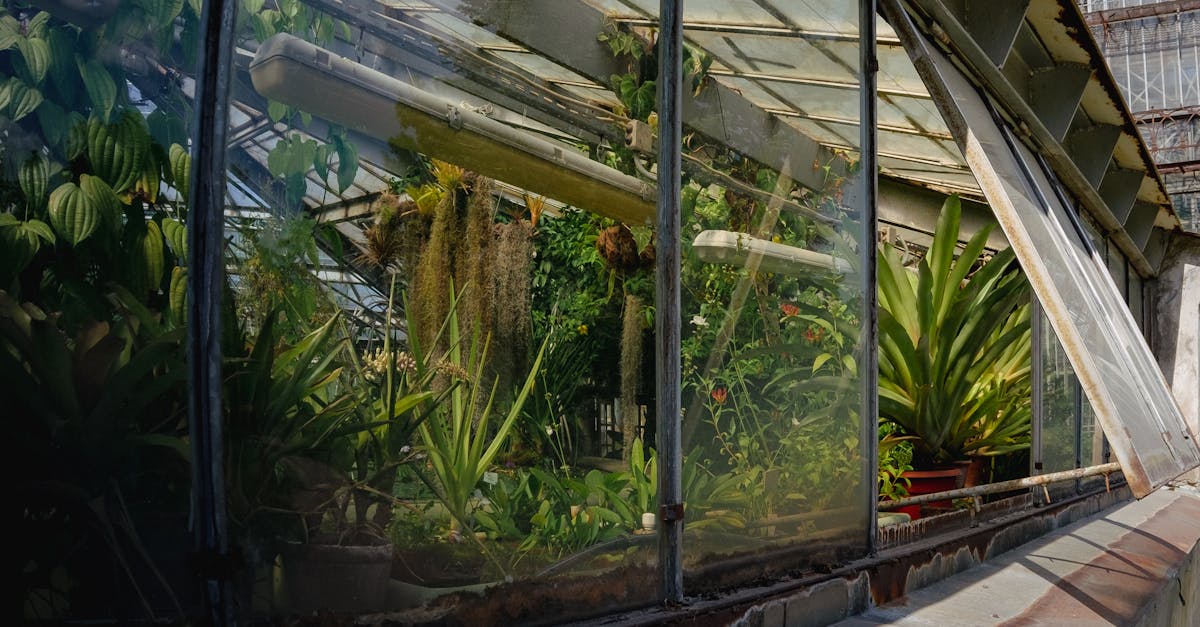 Serre de jardin polycarbonate 6m² — structure aluminium